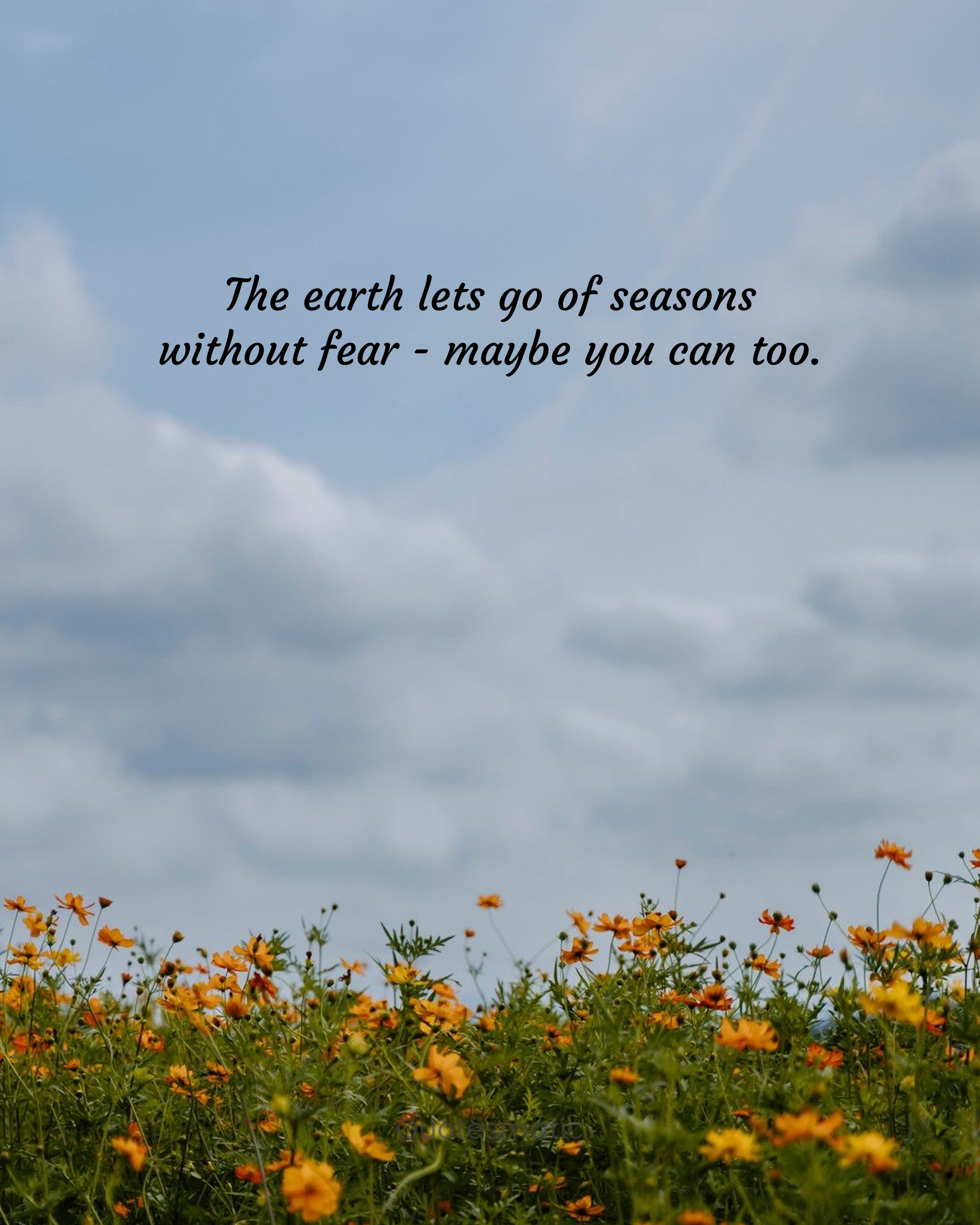 Quotesmatic template